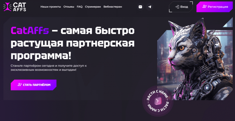  Обзор партнерской программы CatAffs Partners